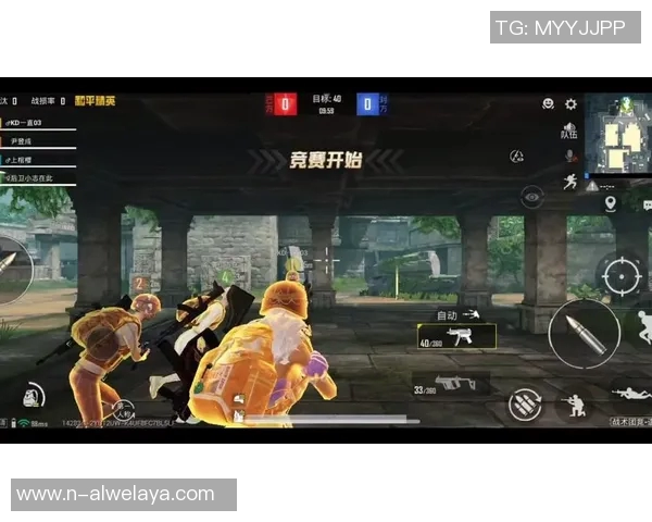 和平精英巨献揭秘LNG团队协作的奥秘与策略分享